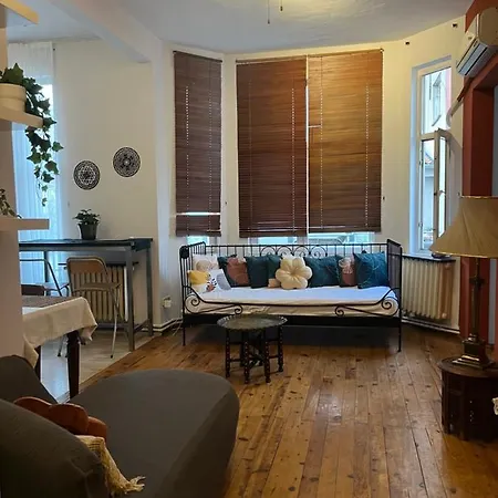 Suma Beyoglu ,high Ceiling Flat In Historical Building Διαμέρισμα