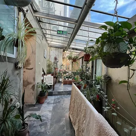 Suma Beyoglu ,high Ceiling Flat In Historical Building *