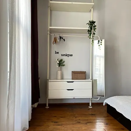 Suma Beyoglu ,high Ceiling Flat In Historical Building Κωνσταντινούπολη